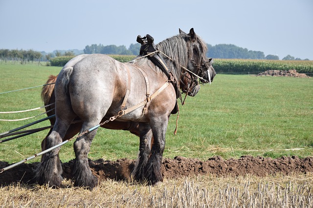 Einfache und schnelle Landwirtschaft